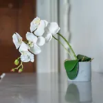 Apartament Casa La Finestra Sul - Welchome Cannobio