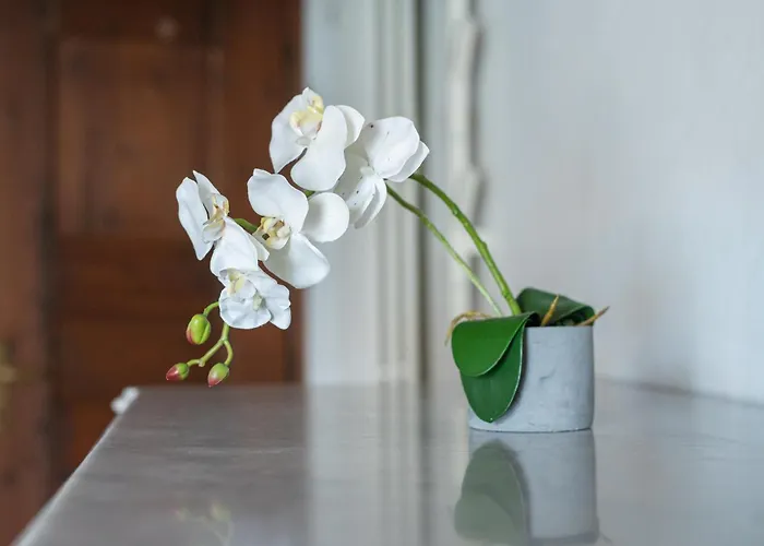 Appartement Casa La Finestra Sul - Welchome Cannobio